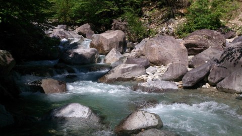 4kesar85mvnbekyne6yv_480_480-8b0a24ae.jpg