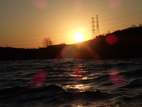 4kg2bvdpv72fg3r6a9wk_480_480-2ca7581b.jpg