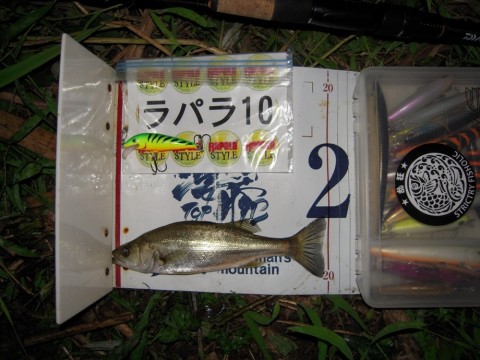 4kg364v6ycw4uyjmxmme_480_480-7cd0619d.jpg