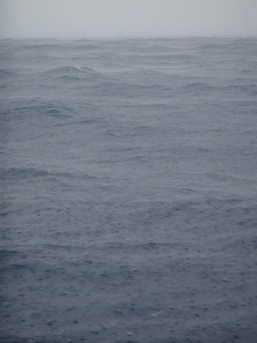 4kgck9w6vy2547ep8hrj_480_480-0bc65069.jpg