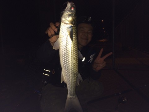 4kknuz5fwaggo2oapa4v_920_690-99941f60.jpg