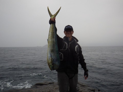 4kswxrvbaaf3hkufg8eo_480_480-6c706ac9.jpg