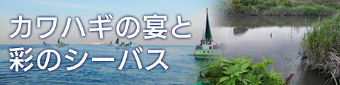 4ky7bteuopast7xysnph-889c771b.jpg