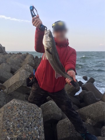 4kzr43uuuvb34u4g34rc_690_920-e5015ac6.jpg