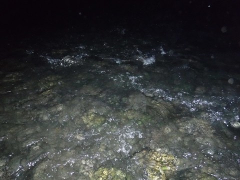 4m2ye3jvbocxuxi3wmw8_480_480-7ac07820.jpg