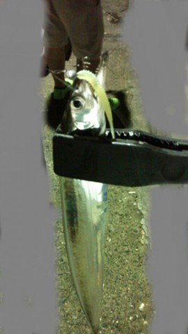 4m7kotmhocbfevn4rfey_518_920-7ddc5b96.jpg