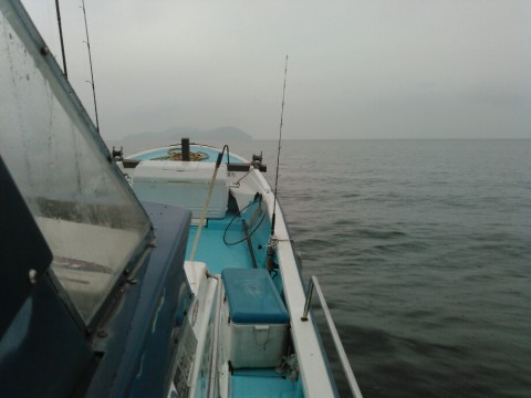 4m9tjibrjijwbnsjfz3g_920_690-20361d56.jpg