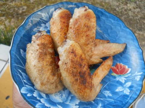 4mbbgddzj428gkygrv65_480_480-931c8007.jpg
