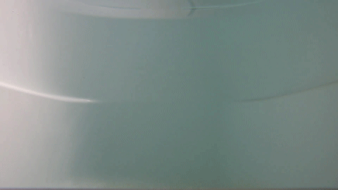 4midy4snxiymtrozz8jr-236493ea.gif