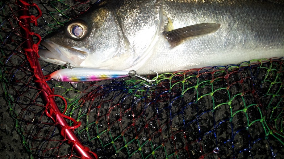 ブログ ローリングベイト 風 釣果