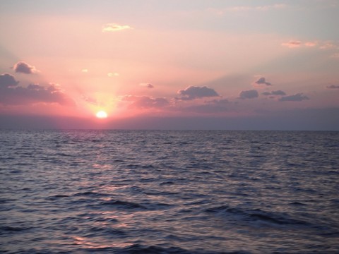4mpb6zg66izdhcjzhnhb_920_690-00520991.jpg