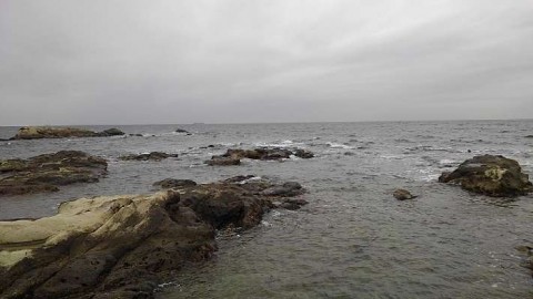 4mu35ufun9hkg28c9iwo_480_480-1aa36c92.jpg