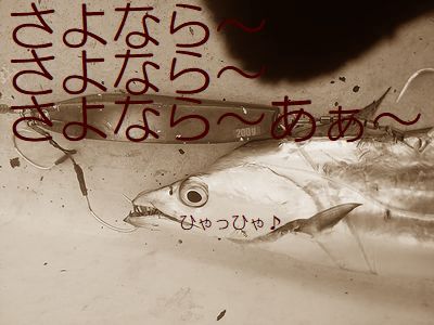 4muekrgxrhweka959kf6-9913d2e6.jpg