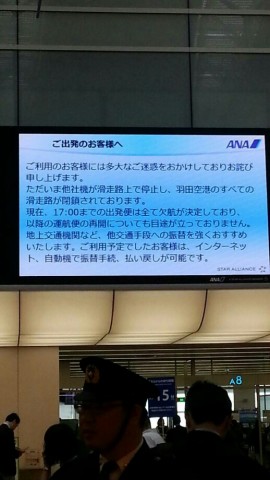 4n3gu3gbkchigo6uu8xh_518_920-665eef2a.jpg