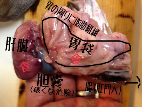 4n8m2yszt5kfghuix7hn_920_690-06eeba8f.jpg