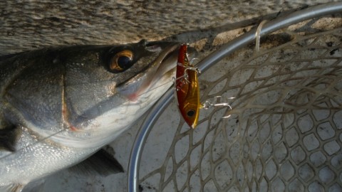 4ncv355yd8retnt957ye_920_518-29fa98e6.jpg
