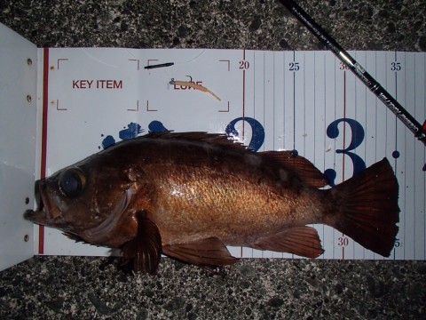 4ngy5wmu9so7up4o9cdb_920_690-bf5fe114.jpg