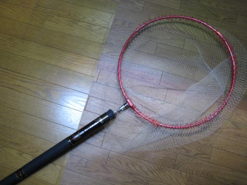 4nks82icmaysygy324s6_480_480-1d8bac0b.jpg