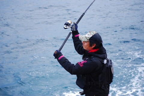4nzccc7sr9kvrnj72kv9_480_480-5bbf70cc.jpg