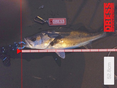 4o2nuki86pk99jsmbfp6_920_690-e700ef69.jpg