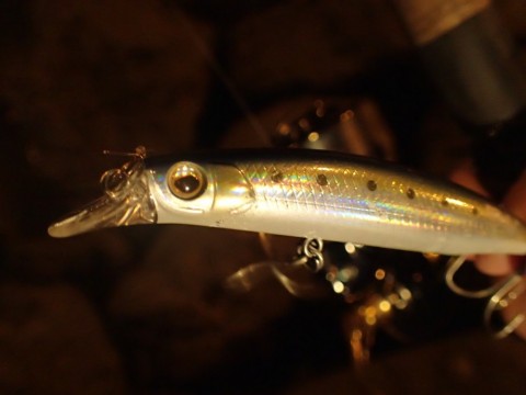 4oekfada4raow9df4dhz_480_480-0683fbc8.jpg
