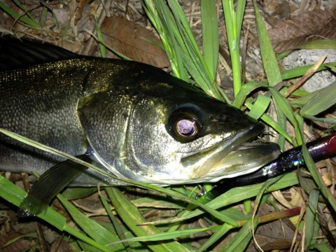 4ofdx9jhvazufnzxvf28_920_690-f47f69b1.jpg