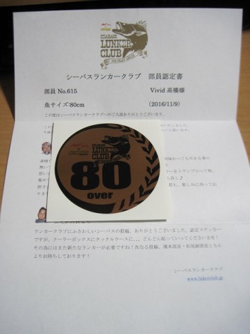 4ogme84cy9gy25t67e52_480_480-16165b3d.jpg