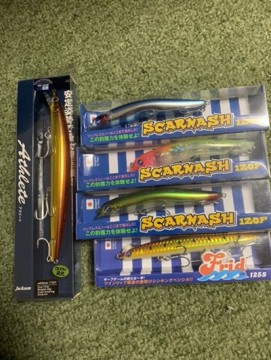 4ogs5jsozwgdedwpkraf_361_480-42628d8f.jpg