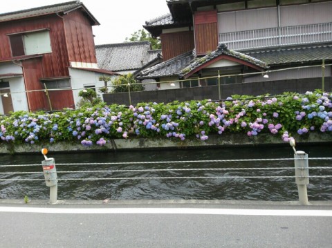 4ohezptpr327xxoxjygu_800_598-3917b5ec.jpg