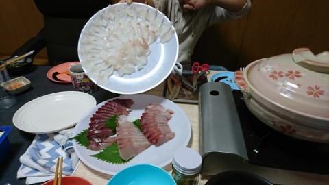 4oi6zsp8twc89mpnofhk_480_480-276439d8.jpg