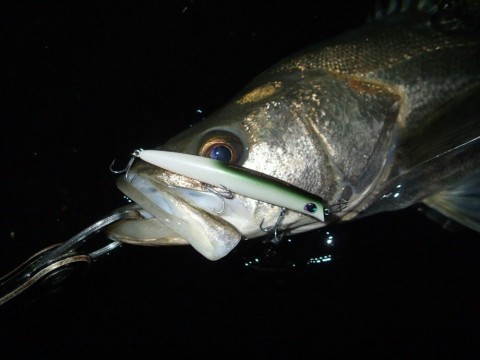 4ou6m836dzxrj6mbwvwk_920_690-80b87573.jpg