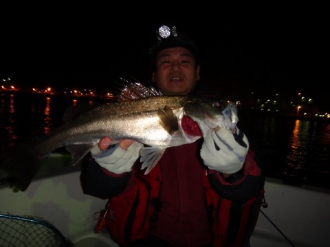 4pehsricyo6zuyo9p3nb_480_480-628bd875.jpg