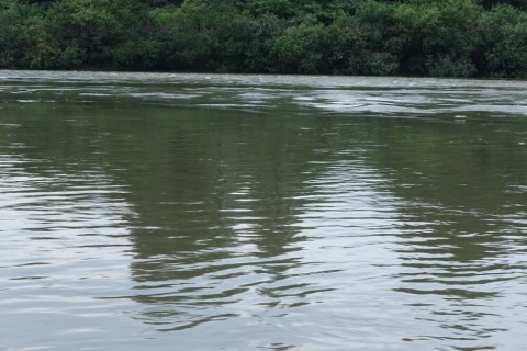 4pkbry3d2it2tcrnna9n_480_480-e1cf3838.jpg