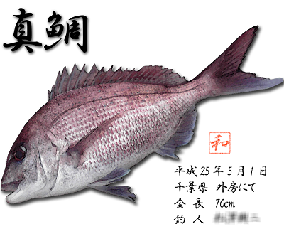4pp5b5cjtrb9ijpi9bpi-8d1d7282.png
