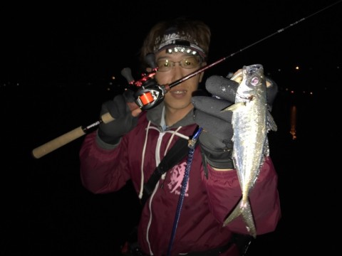 4pt22s98emyd28w2hhs9_920_690-768f1703.jpg