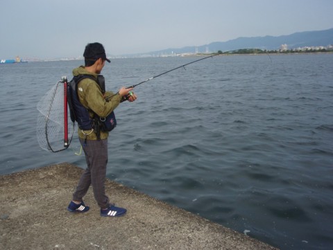 4r9mgeb4dpiz7j8r5x4j_480_480-b21a0861.jpg