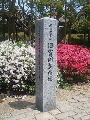 4rbh3xro8iseermipuda_480_640-0a46720c.jpg