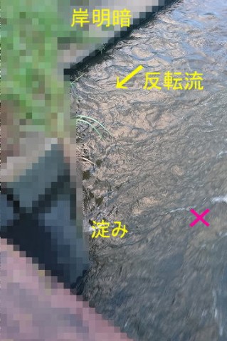 4rbzr49teujwchkjba5y_480_480-1c45a631.jpg