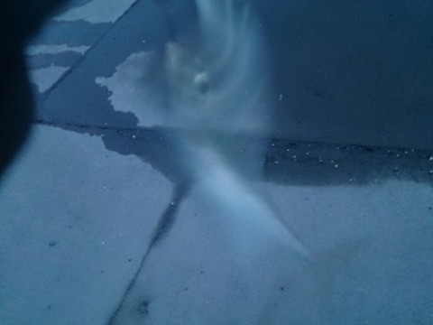 4rcuvmofhmdrnk6rs9v4_920_690-c21061ab.jpg