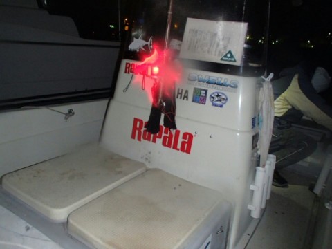 4rehdnizbdhagv9ujs8p_640_480-28e42e1d.jpg