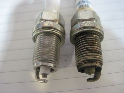 4rhefmj6tcba47jkofce_480_480-f5308ec2.jpg