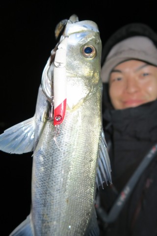 4s486epg362s2twekp3m_480_480-4d594f63.jpg