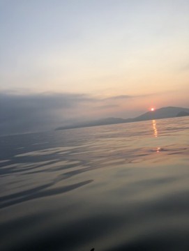 4sivk88hs775f8wh98pc_361_480-d9c0d759.jpg