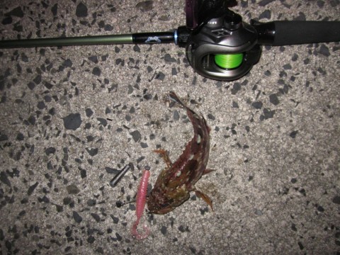 4smmhw98czkooffvnj4m_480_480-9e043041.jpg