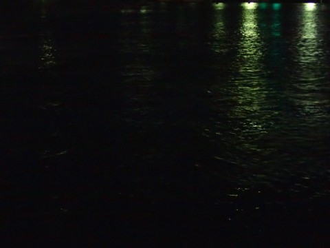 4t9na5v5jgxhwkt86oh3_480_480-a891e1e5.jpg