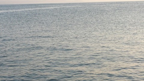 4tfekmhzg69psh9uoug3_920_518-adc0b5ae.jpg