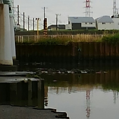 4u5dnhforj2up38t77nb_920_920-025f094e.jpg