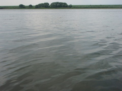 4u7yo85kvy782zanzfkf_480_480-f56a346b.jpg
