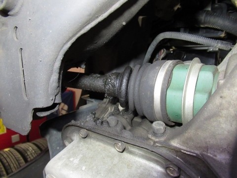 4ueavr3nv2eurnn5ysxr_480_480-b69cbb7e.jpg