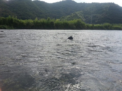 4ujyh2o5brw5s87yujh7_920_690-fa08db83.jpg